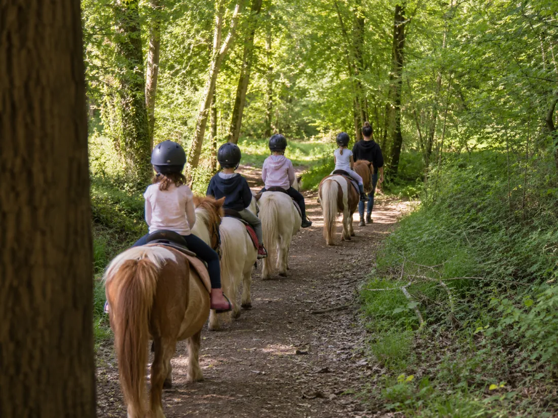 Baby poney, premier contact pour les 3-6 ans