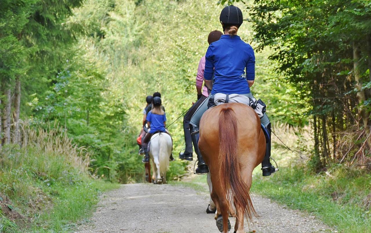 Balade à cheval autour de Bergerac
