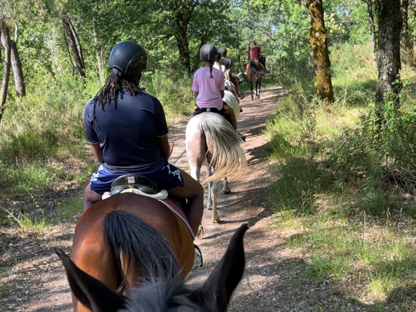 Groupe de cavaliers en balade à cheval sur un chemin de forêt près de Bergerac