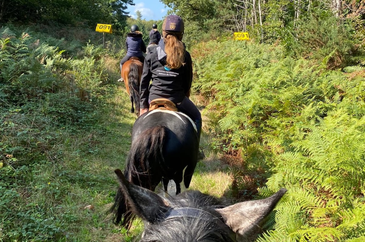 Balade à cheval dans les vignobles autour de Bergerac