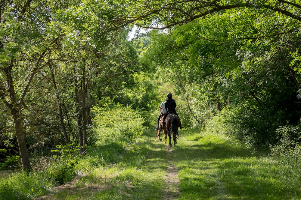 Balade en poney près de Bergerac