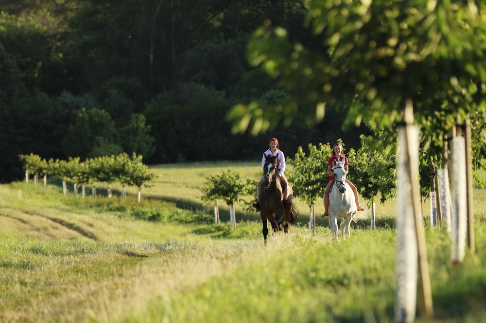 Balade en poney dans la Dordogne