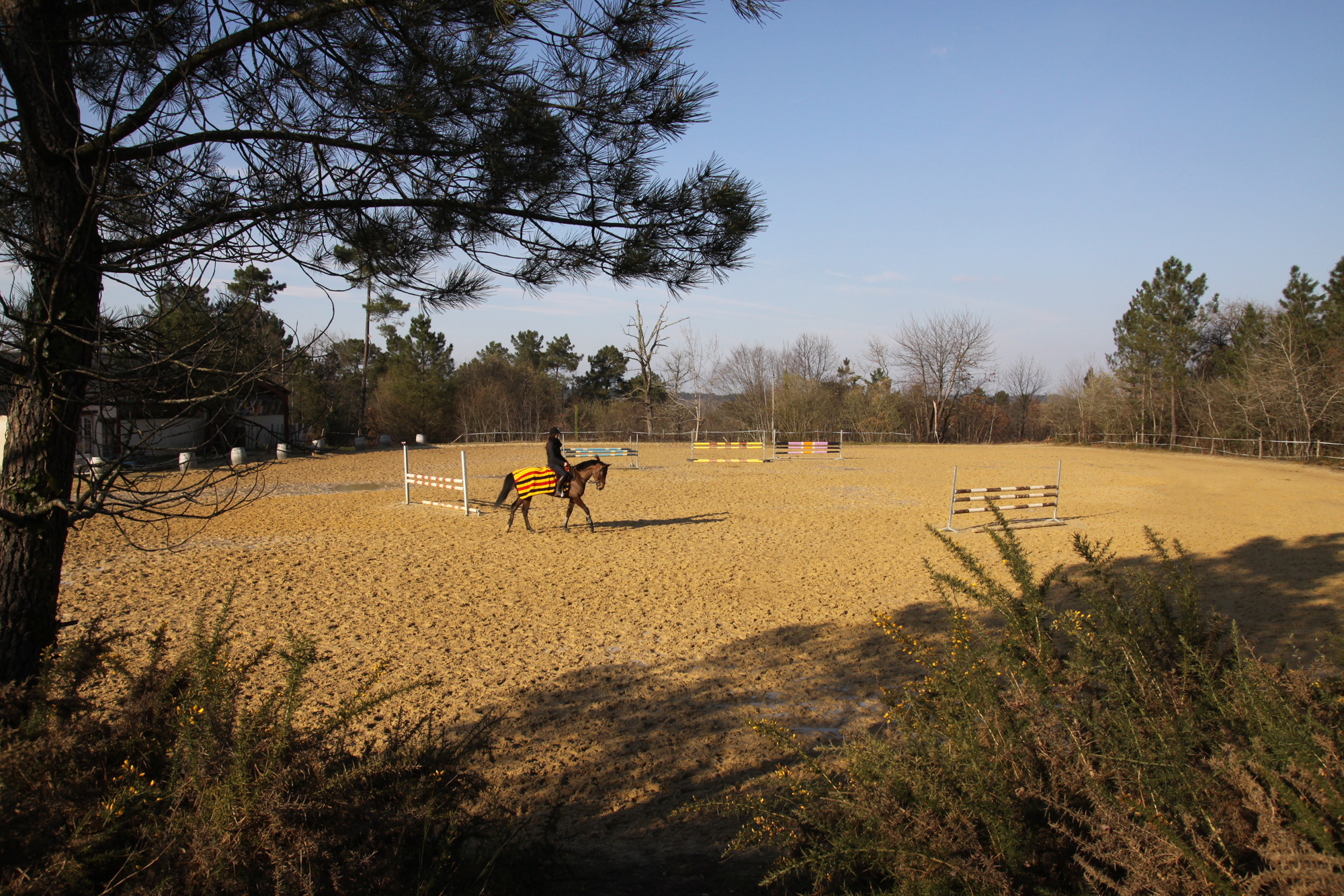 Carrière d'obstacles extérieure du centre équestre du Grand Vignoble