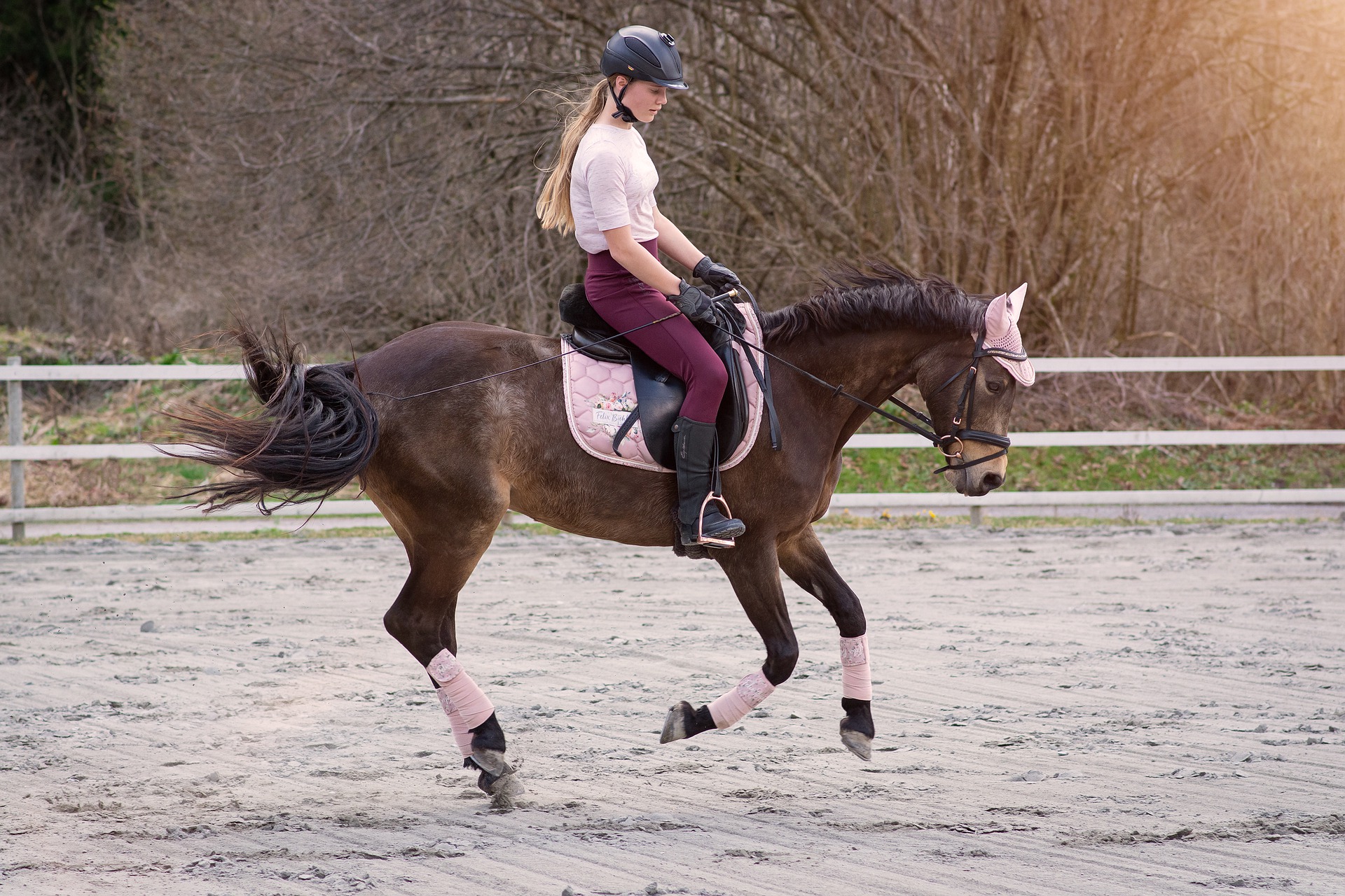 Cours particulier d'équitation
