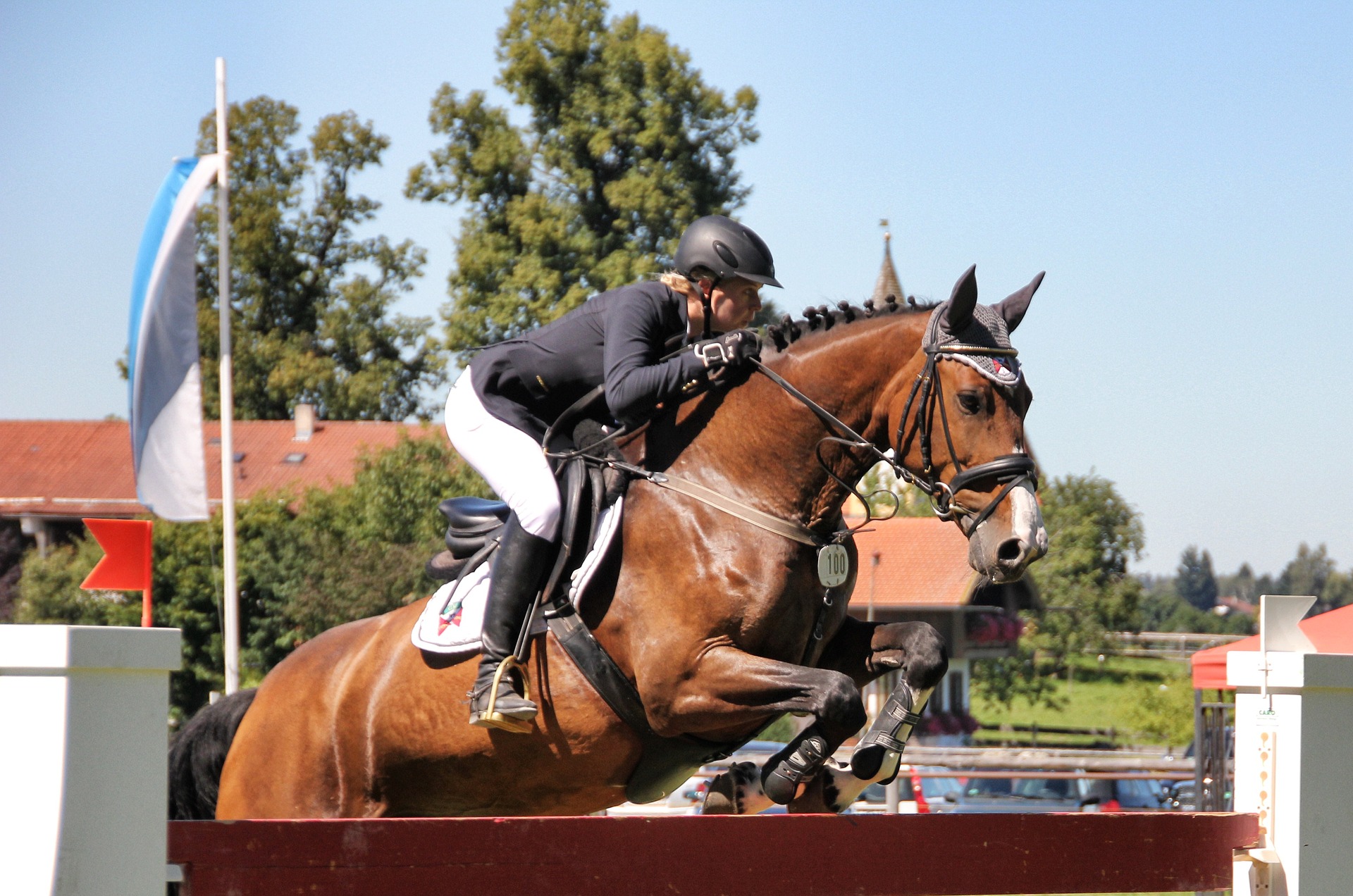 Stage de préparation au concours de saut d'obstacles