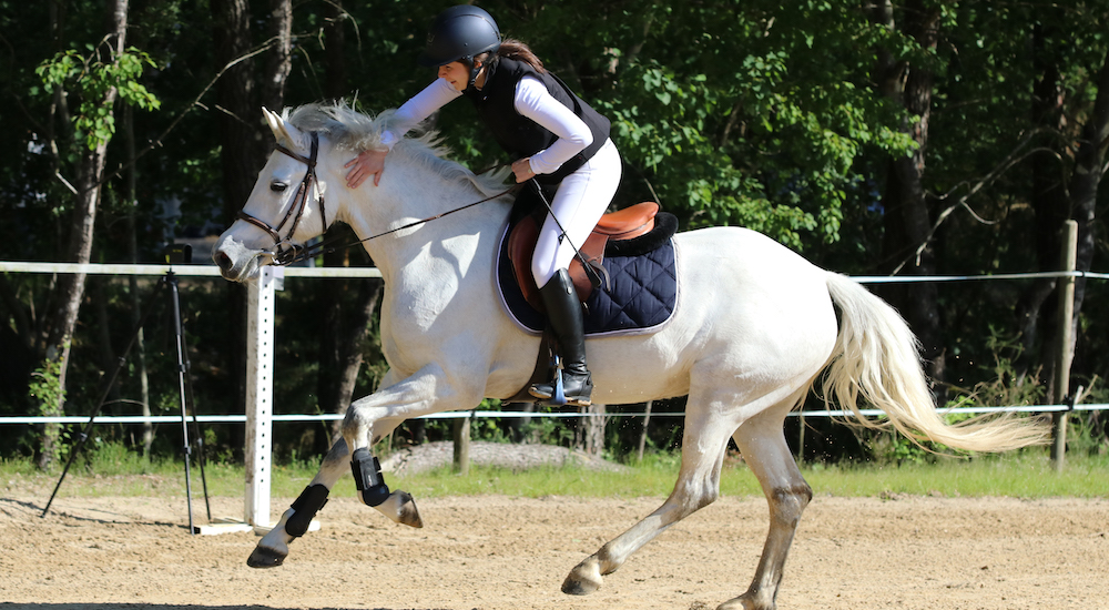 Cavalière au galop dans la carrière de l'école d'équitation