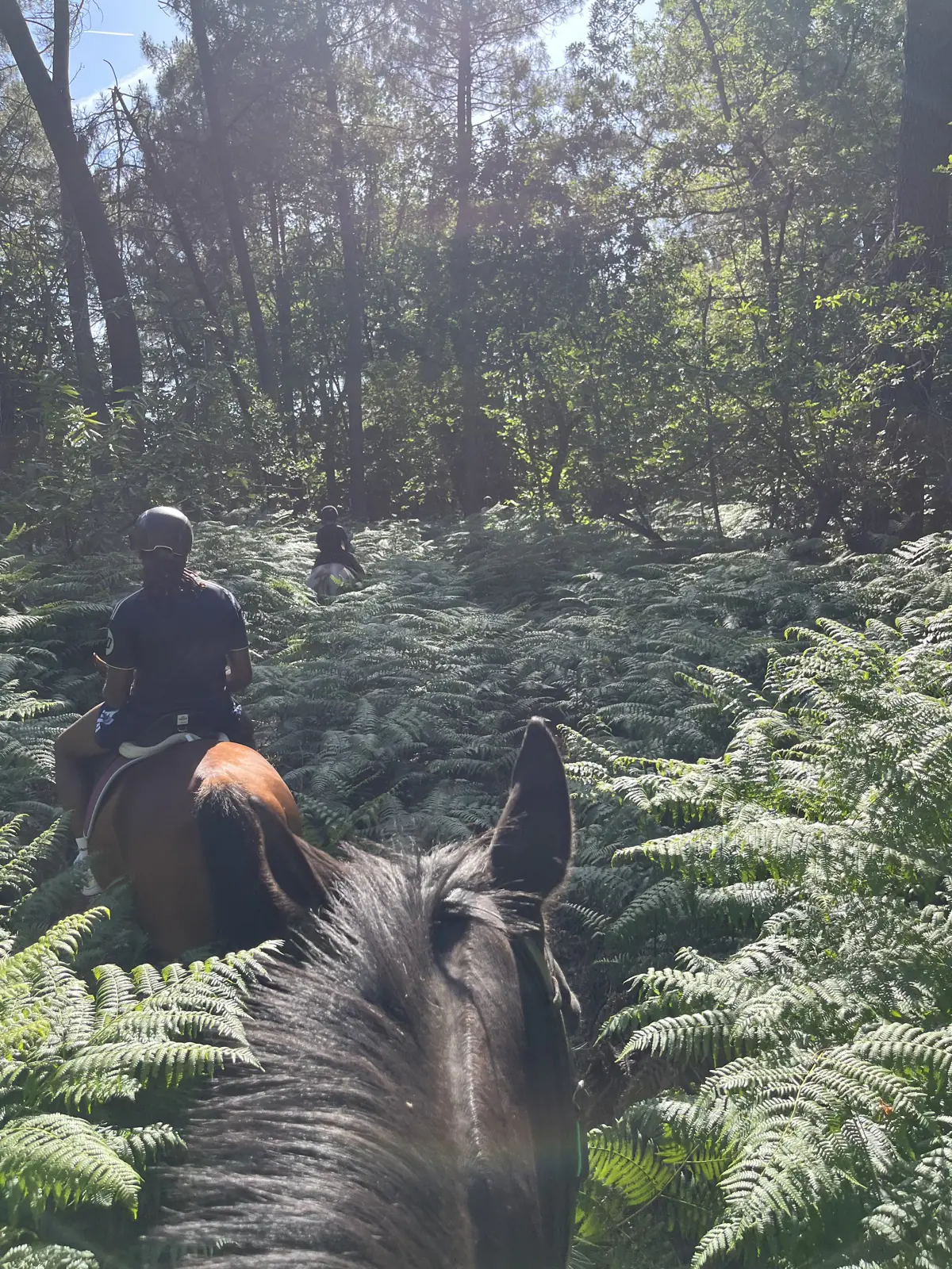 Balade à cheval en forêt près de Bergerac