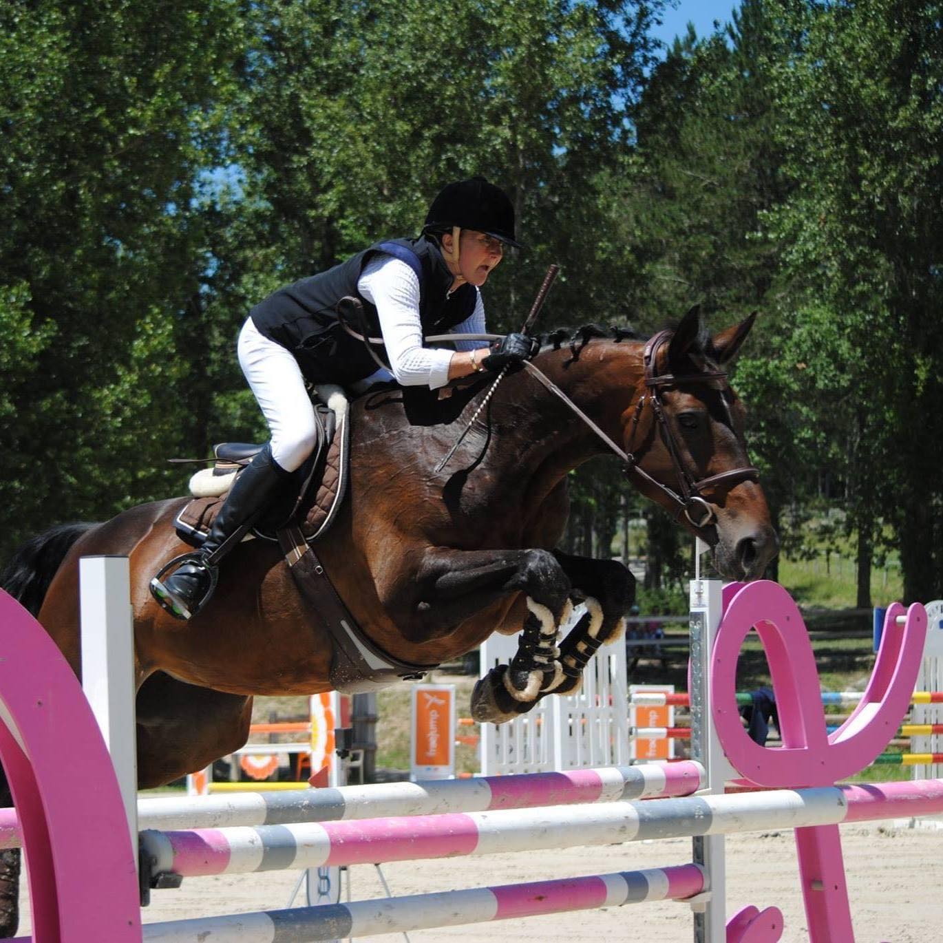Cavalière en concours de saut d'obstacles