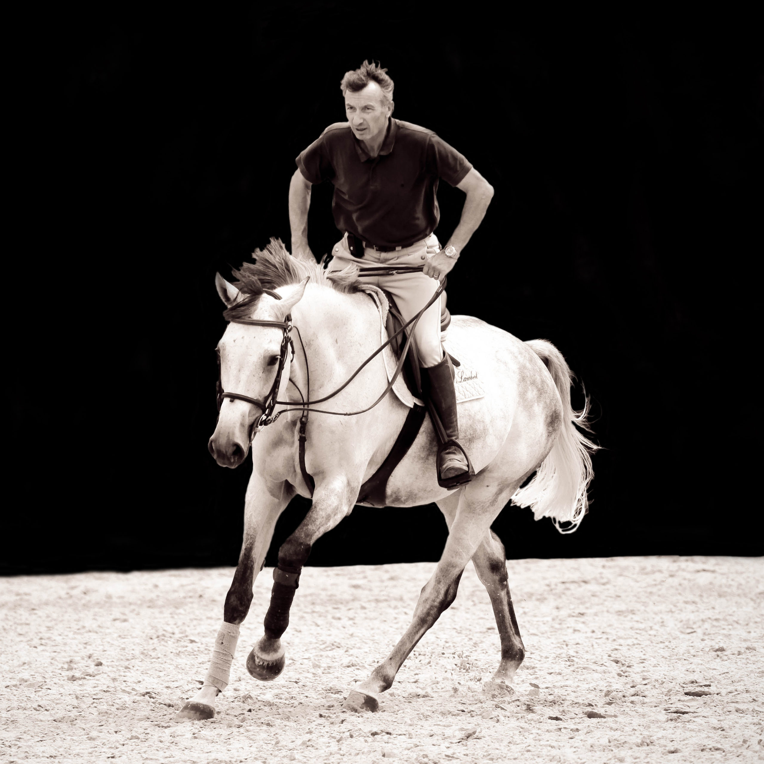 Jacques Lambert au galop, directeur des Écuries du Grand Vignoble