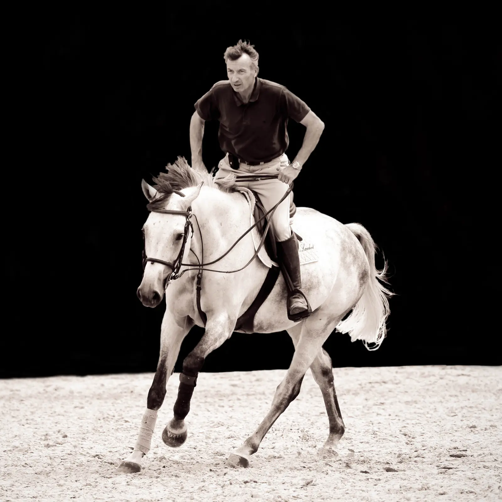 Jacques Lambert au galop, directeur des Écuries du Grand Vignoble