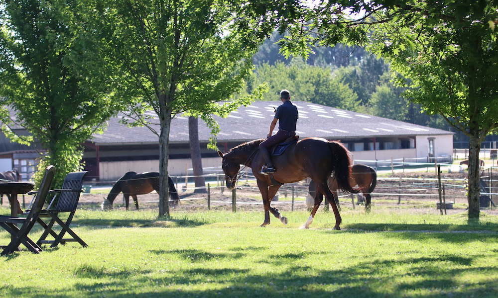 Cavalière en cours dans le manège