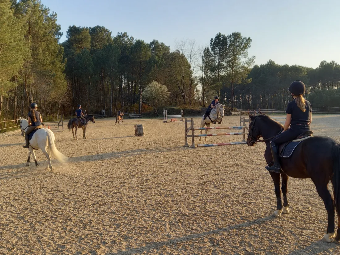 Jeune cavalier en concours de poney