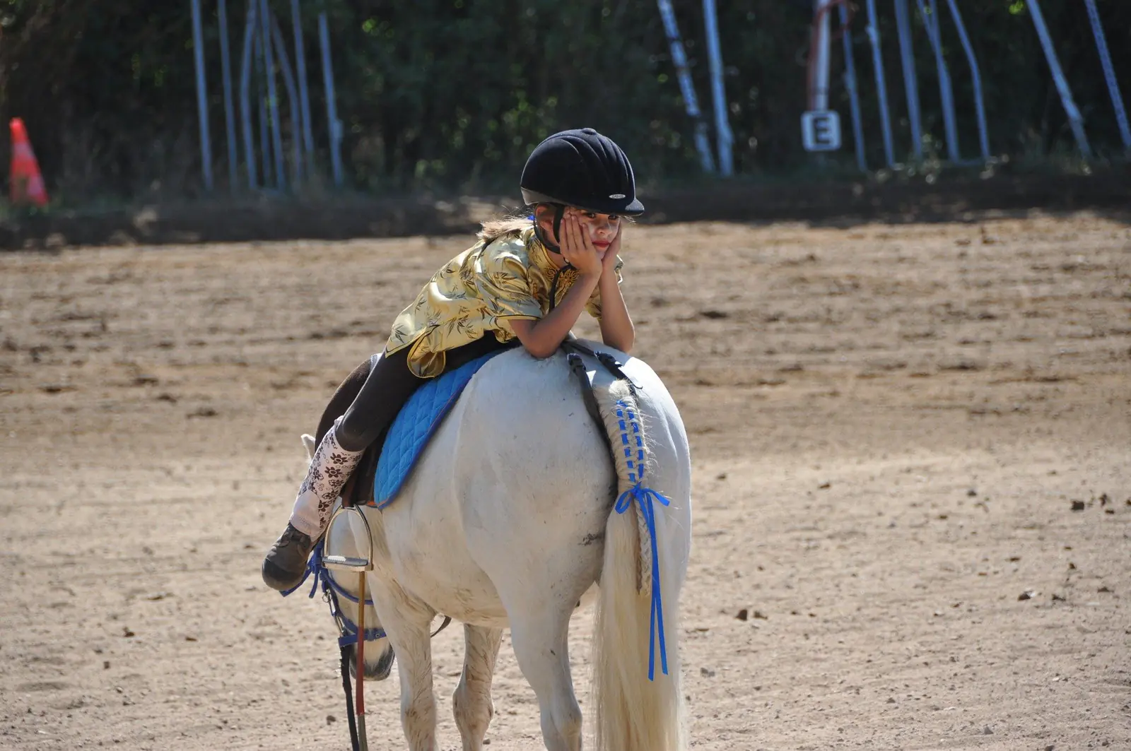 Poney sellé du club des Écuries du Grand Vignoble