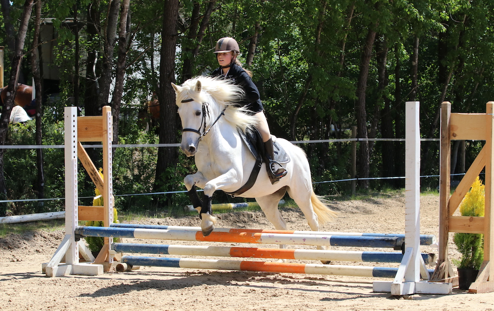 Saut d'obstacles en poney
