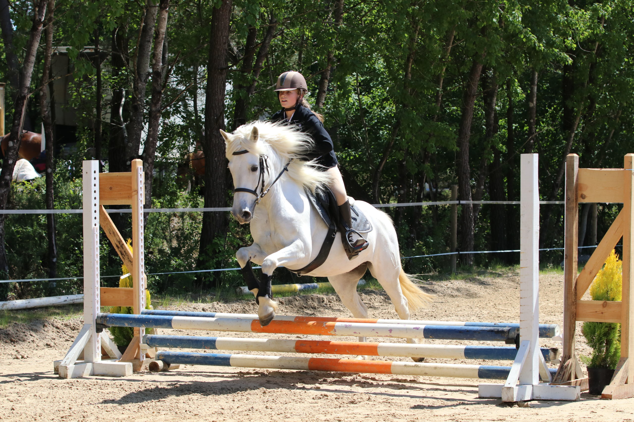 Saut d'obstacles en carrière