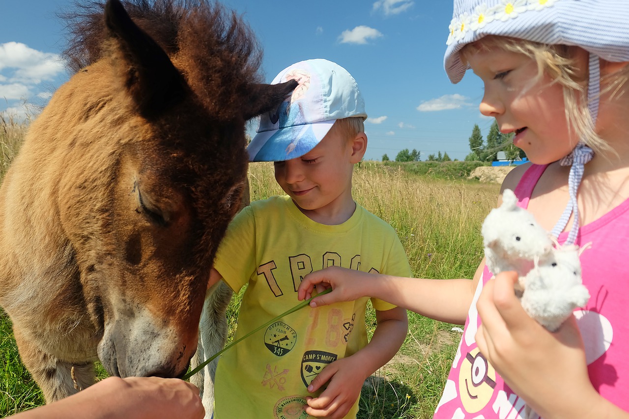 Balade à cheval en famille